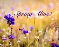 Spring Alive! 