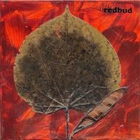 Redbud by Rich Bitting