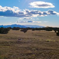 Figure in a Landscape, 12" x 12" photographic metal print