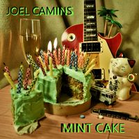 Mint Cake by Joel Camins