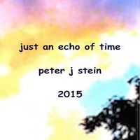Just an Echo of Time by Peter J Stein