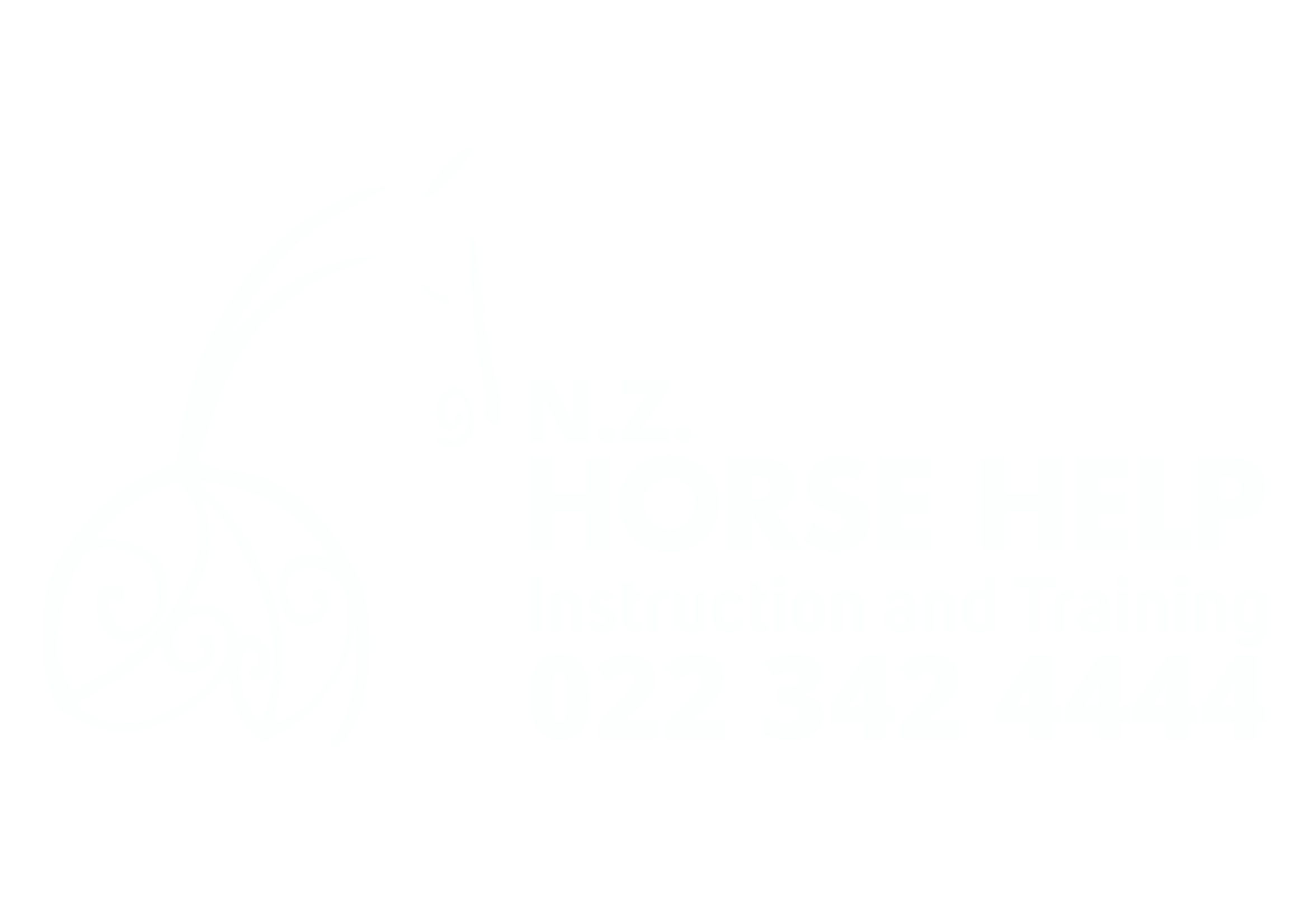 NZ Horse Help 