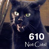Not Cats! by 610
