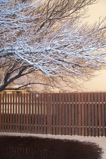 sunset and snow
