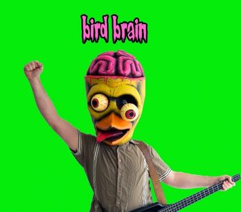 BirdBrainButton2
