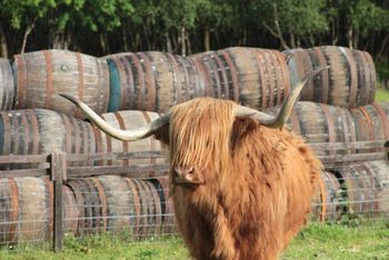 maybe_the_most_photogenic_Heela__Coo_ever
