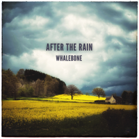 After the Rain by Whalebone