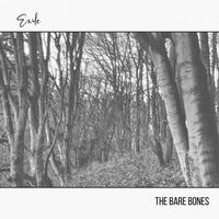 Exile by The Bare Bones