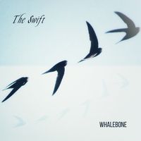 The Swift by Whalebone