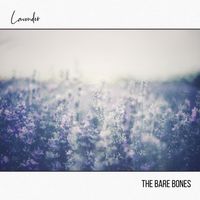 Lavender by The Bare Bones