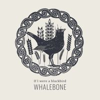 If I were a Blackbird by Whalebone