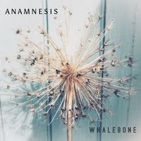 Anamnesis by Whalebone