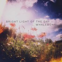 Bright Light of the Day by Whalebone