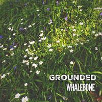 Grounded by Whalebone