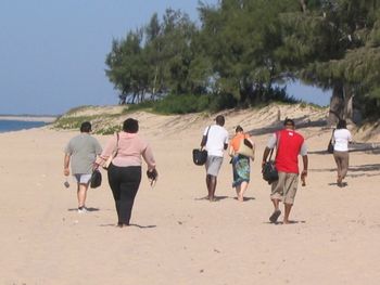 Beach in Mozambique
