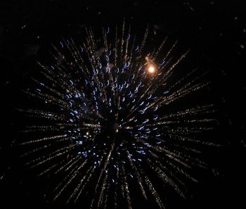 Family_and_fireworks_042
