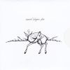 Sweet Sugar Pie: CD