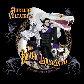 The Black Labyrinth Album Cover
