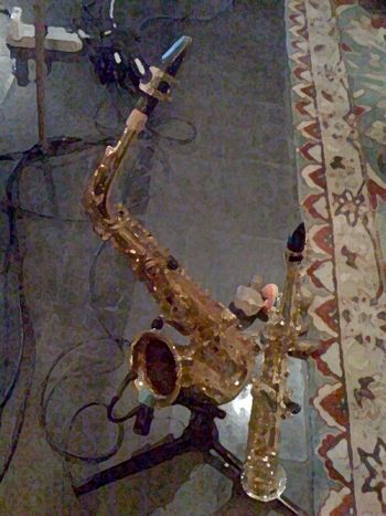 Saxes(drybrush).jpg_resized
