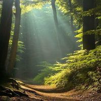 Rider on the Trail by Chuck Roehm