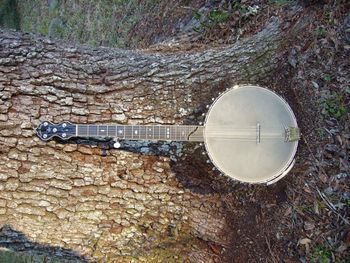 Gold Tone OT-6 six string banjo
