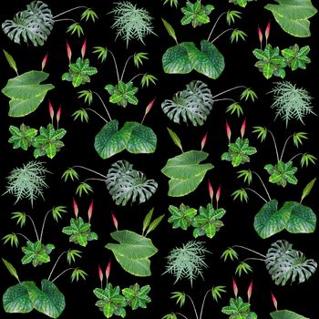 beleafers
