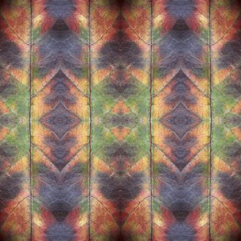 T0636P colorific

