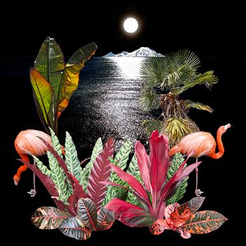 tropicisle
