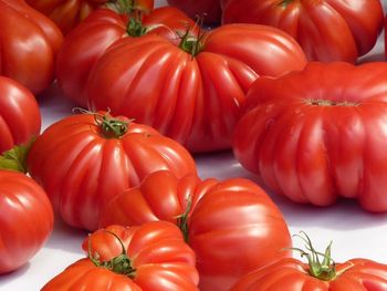 NICE tomatoes
