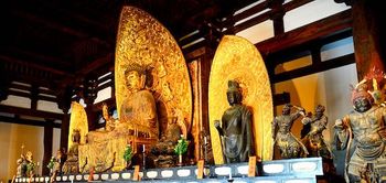 Golden Buddha Nara, Japan
