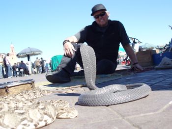 Taking up snake charming Djemaa El Fina, Marrakesh, Morocco
