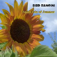 South Side of Summer by Bird Mancini