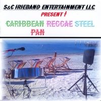Caribbean Reggae Steel Pan by Courtney Henry