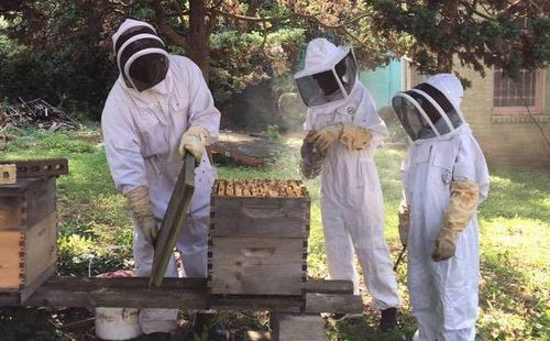 Backyard Beekeeping with Family