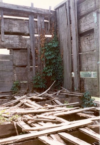 Muddy Waters' cabin, Stovall Farms, Clarksdale, MS
