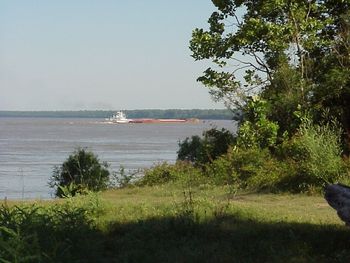 Mound Landing, MS where the levee broke in 1927
