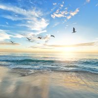 Finding Freedom by Mary Lydia Ryan