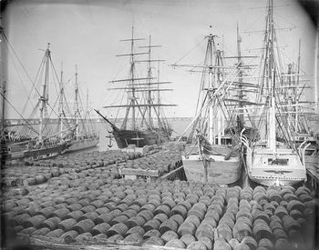 Whale Oil, Courtesy New Bedford Whaling Museum
