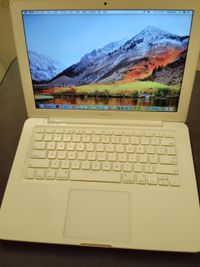 Apple laptop  2009