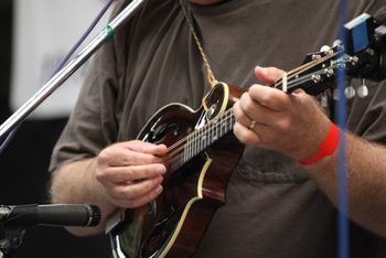 mandolin
