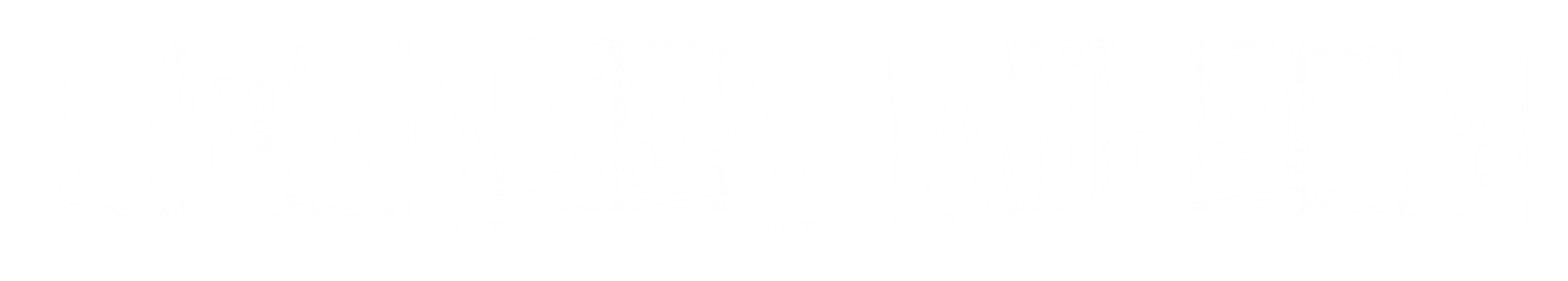 Abandon Theory