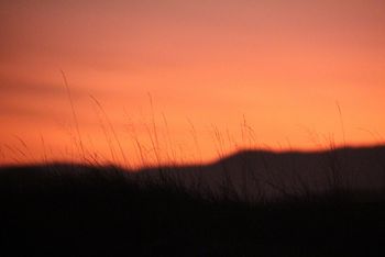 Dawn over the burial mounds on Dønna 6
