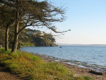 32_Back_Bay__Morro_Bay
