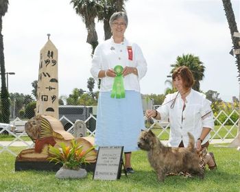 Tucker, Ch Nakoa Tropical Scotch RN, receives first award of merit at the CTCSC specialty, June 2009, Great Western weekend. Judge Virginia Latham Smith.
