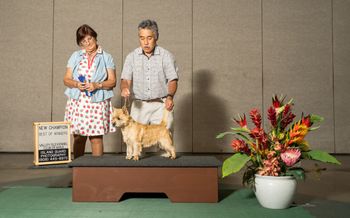 Dandy new champion Hawaiian Kennel Club 3/4/23
