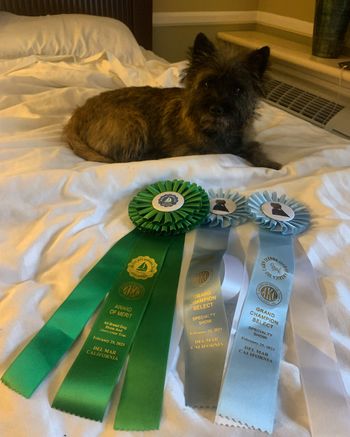 Amber and her ribbons from roving
National and Southern California specialties
