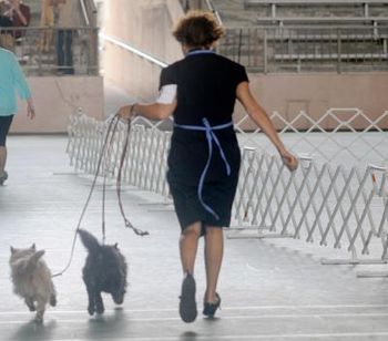 Lisa, Foster, Maggie at a dog show
