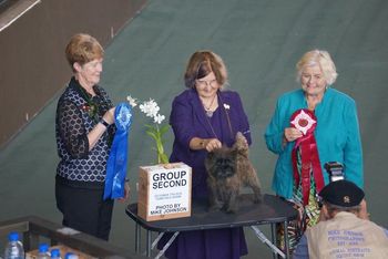 Pepper group 1 and 2 orchid isle October Sunday shows- new grand champ!
