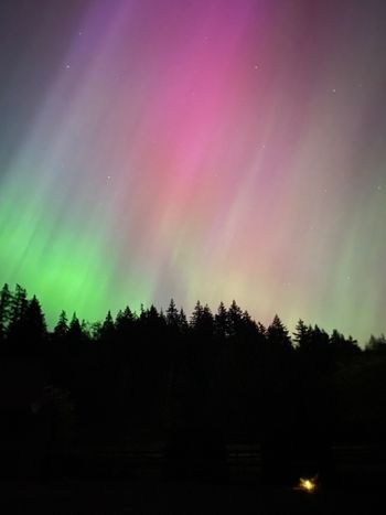 Aurora Borealis, Western Washington, May 10, 2024
