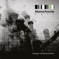 Seeing It All Monochrome by Monochrome Days